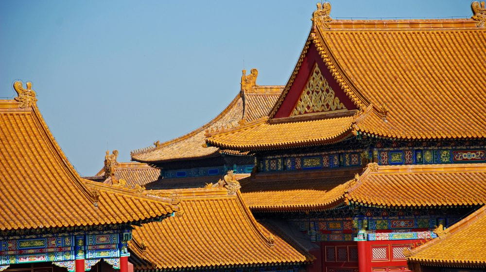 CHS has built strong relationships with customers in China, who value working with a farmer-owned cooperative. 