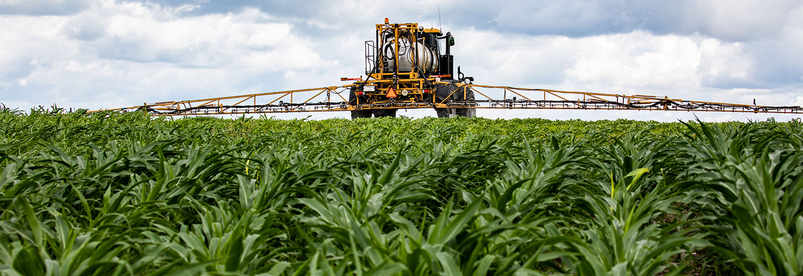 Spraying a field
