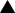 Black triangle