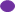 Purple oval